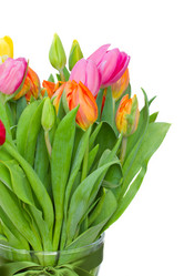 Similar image 1706951