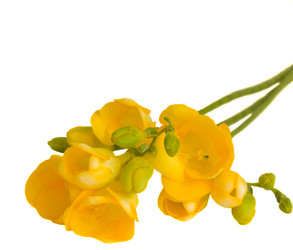 Similar image 1707108