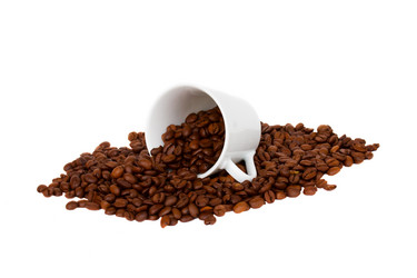 Similar image 1707109