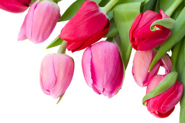 Similar image 1707112