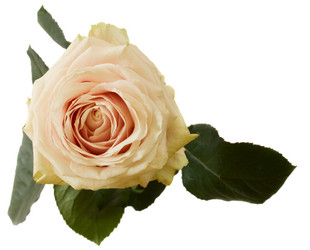 Similar image 1707116