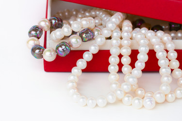 Similar image 1707117