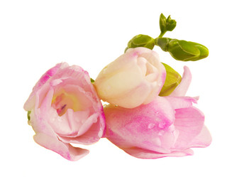 Similar image 1707134