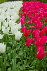 Similar image 1707136