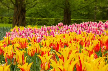 Similar image 1707137