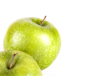 Similar image 1707309