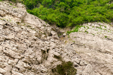 Similar image 1707456