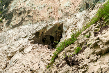 Similar image 1707459