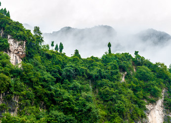 Similar image 1707475