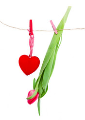 Similar image 1707639