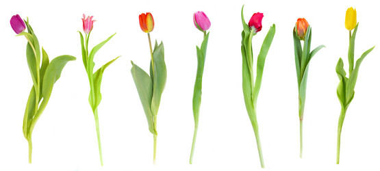 Similar image 1707644