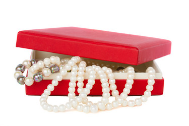 Similar image 1707646