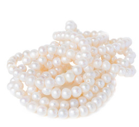 Similar image 1707648