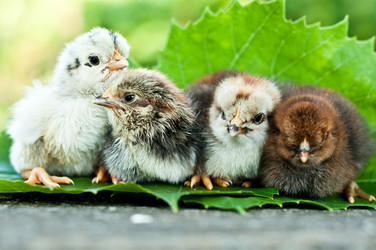 Similar image 1708438