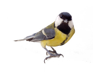 Similar image 1708575