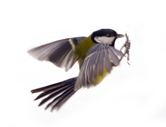 Similar image 1708623