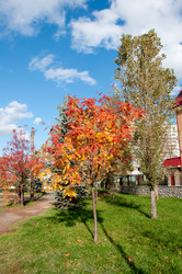 Similar image 1708645