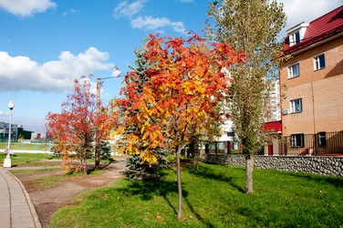 Similar image 1708654