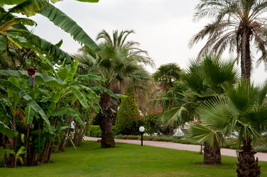 Similar image 1708704