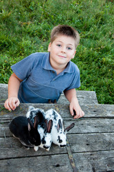 Similar image 1708747