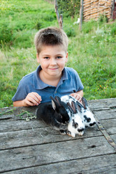 Similar image 1708748