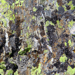 Similar image 1709113