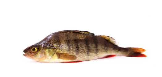 Similar image 1709138