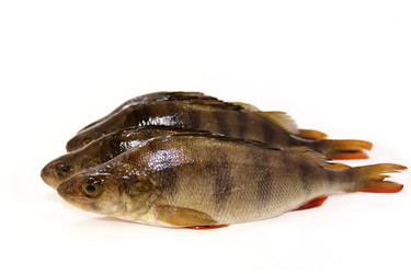 Similar image 1709139