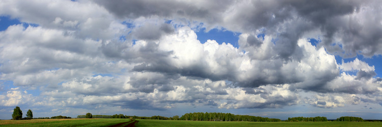 Similar image 1709183