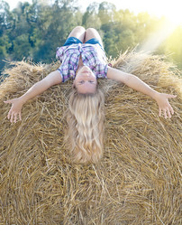 Similar image 1709186