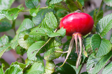 Similar image 1709188