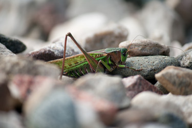 Similar image 1709189