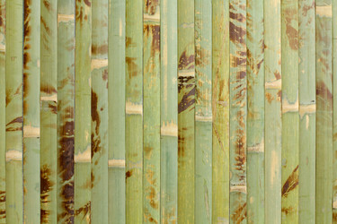 Similar image 1709191