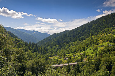 Similar image 1709219