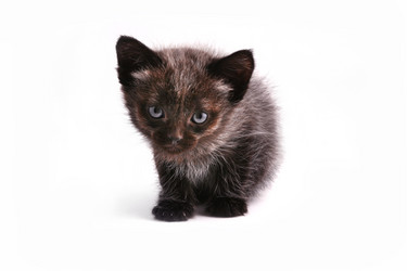 Similar image 1709271