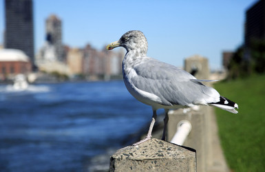 Similar image 1709273