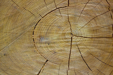 Similar image 1709290