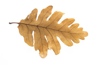 Similar image 1709295