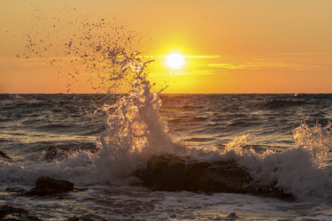 Similar image 1709298