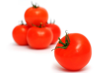 Similar image 1709340