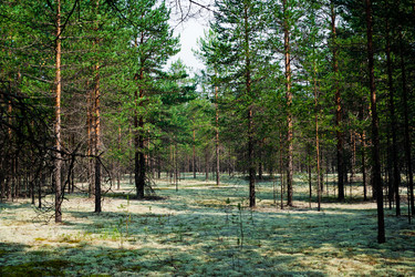 Similar image 1709365