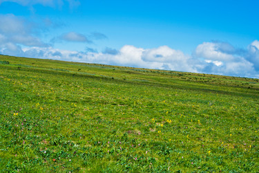 Similar image 1709393