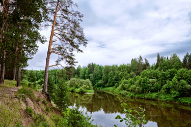 Similar image 1709397