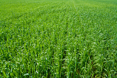 Similar image 1709400