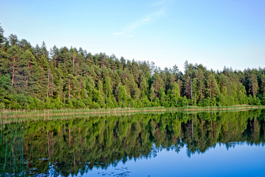 Similar image 1709401