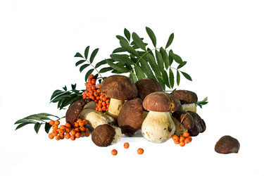 Similar image 1709492