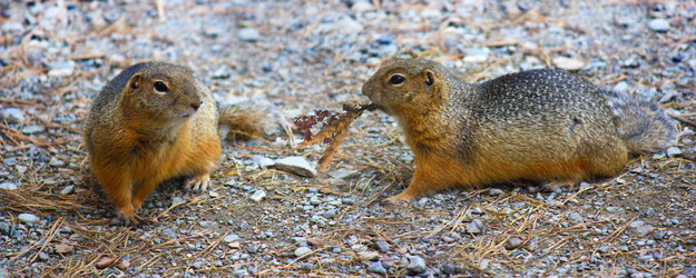 Similar image 1709493