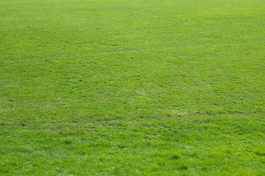 Similar image 1709595