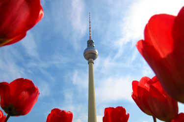 Similar image 1709601