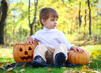 Similar image 1709772